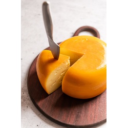 Gouda